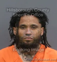 Mugshot of VICENTE GERARDO BROWN TORRES booked in Hillsborough County, Florida on May 23, 2026