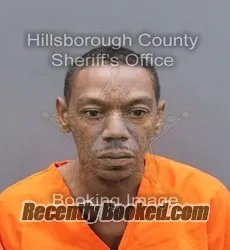 Booking photo from Hillsborough County, Florida