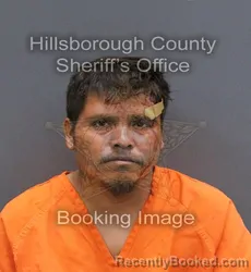 Mugshot of JOEL CORTEZ NAVA booked in Hillsborough County, Florida on May 24, 2026