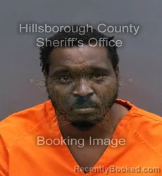 Mugshot of HENRY A WILLIAMS booked in Hillsborough County, Florida on May 24, 2026