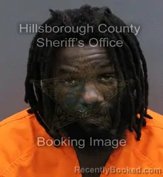 Mugshot of STEPHEN M WALKER booked in Hillsborough County, Florida on May 24, 2026