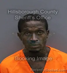 Mugshot of KENDALL FREEMAN booked in Hillsborough County, Florida on May 24, 2026
