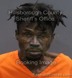 Mugshot of SAMMIE CORNEL HILLIARD booked in Hillsborough County, Florida on May 24, 2026