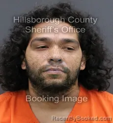 Mugshot of BRANDIN KYLE COLON booked in Hillsborough County, Florida on May 24, 2026