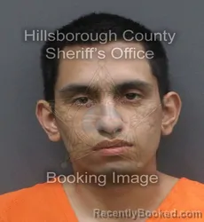 Mugshot of ANTHONY JAVEDAN booked in Hillsborough County, Florida on May 24, 2026