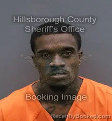 Mugshot of TERROD LAMAR MURRAY booked in Hillsborough County, Florida on May 24, 2026