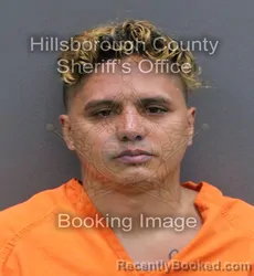 Mugshot of BRYAN ALEXANDER PEREIRA MUNOZ booked in Hillsborough County, Florida on May 24, 2026