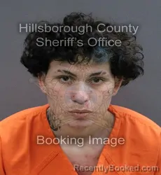 Mugshot of ALEXIS DANIEL RODRIGUEZ ESTEVEZ booked in Hillsborough County, Florida on May 24, 2026