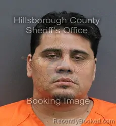 Mugshot of DAVID ESCALANTE booked in Hillsborough County, Florida on May 24, 2026