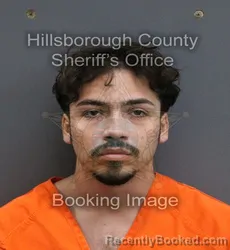 Mugshot of CHRISTOPHER KEVIN MATEUS booked in Hillsborough County, Florida on May 24, 2026