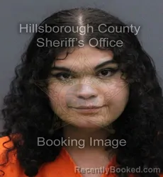 Mugshot of EFRAIN TORRES booked in Hillsborough County, Florida on May 24, 2026