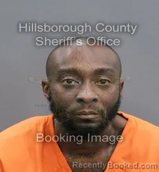 Mugshot of ASHLEY ADARIUS DAVENPORT booked in Hillsborough County, Florida on May 24, 2026