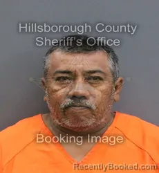 Mugshot of VICENTE GUZMAN-LUNA booked in Hillsborough County, Florida on May 24, 2026