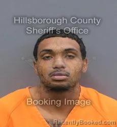 Mugshot of JAKE RICHARD II COLTON booked in Hillsborough County, Florida on May 24, 2026