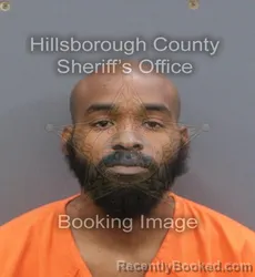 Mugshot of DARRYL JAMES WALTON booked in Hillsborough County, Florida on May 24, 2026