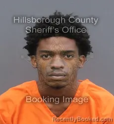 Mugshot of MICHAEL MASERATI FUGNOLE booked in Hillsborough County, Florida on May 24, 2026