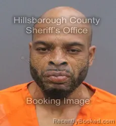 Mugshot of QUADEER ANWAR NELSON booked in Hillsborough County, Florida on May 24, 2026