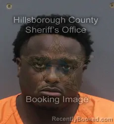 Mugshot of SIDNEY DANIEL DOUGLAS booked in Hillsborough County, Florida on May 24, 2026