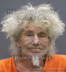 Mugshot of STEVEN C FISCHER booked in Hillsborough County, Florida on May 24, 2026