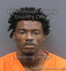 Mugshot of ZHERIC AVION DAVIS booked in Hillsborough County, Florida on May 25, 2026