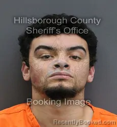 Mugshot of VINCENT LAWRENCE VIGIL PEREZ booked in Hillsborough County, Florida on May 25, 2026