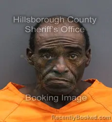 Mugshot of EDWARD LEWIS JR GRADDY booked in Hillsborough County, Florida on May 25, 2026