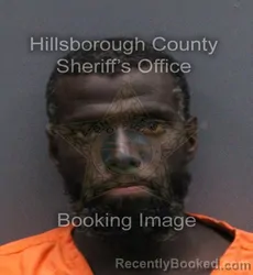 Mugshot of PETERSON RAMEAU booked in Hillsborough County, Florida on May 25, 2026
