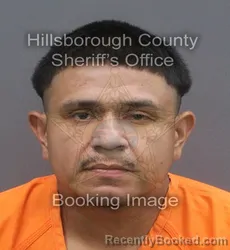 Mugshot of ANTONIO TREVINO booked in Hillsborough County, Florida on May 25, 2026