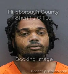 Mugshot of CAMERON ALEXANDER JOYNER booked in Hillsborough County, Florida on May 25, 2026
