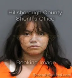 Mugshot of DIANY NATALY GALINDO MENDOZA booked in Hillsborough County, Florida on May 25, 2026