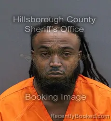 Mugshot of JONAH MICHAEL JOHNSON booked in Hillsborough County, Florida on May 25, 2026