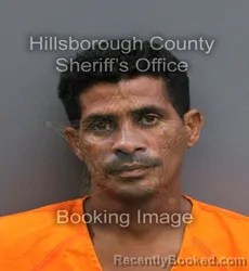 Mugshot of YOHANY MORFI VALDES booked in Hillsborough County, Florida on May 25, 2026