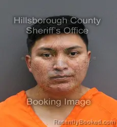 Mugshot of FIDENCIO JIMENEZ GOMEZ booked in Hillsborough County, Florida on May 25, 2026