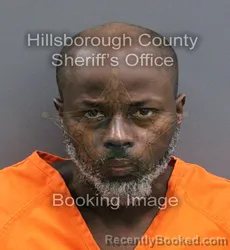 Mugshot of DAVID GOURDINE booked in Hillsborough County, Florida on May 25, 2026