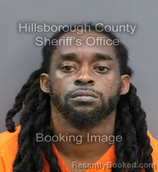 Mugshot of MICHAEL L CROWDER JR booked in Hillsborough County, Florida on May 25, 2026