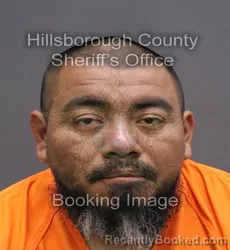 Mugshot of MICHAEL FRANCISCO JOSE booked in Hillsborough County, Florida on May 25, 2026