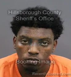 Mugshot of DAVION JERMAINE JR CALDWELL booked in Hillsborough County, Florida on May 25, 2026
