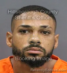 Mugshot of GIANCARLOS HERNANDEZ booked in Hillsborough County, Florida on May 25, 2026