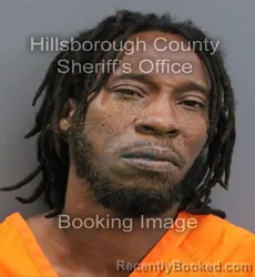 Mugshot of OMAR ANTONIO ANCHICO booked in Hillsborough County, Florida on May 25, 2026