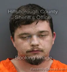 Mugshot of ADAM KEITH MALTBIE booked in Hillsborough County, Florida on May 25, 2026