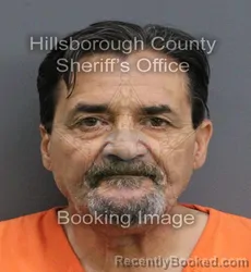 Mugshot of MICHAEL ANGELO PIROZZI booked in Hillsborough County, Florida on May 25, 2026
