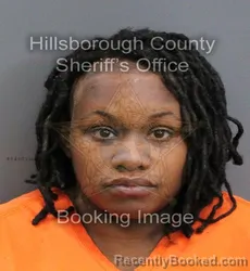 Mugshot of DANA ANNMARIE LOUIS-DOR booked in Hillsborough County, Florida on May 25, 2026