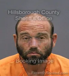 Mugshot of FERNANDO PANTOJA booked in Hillsborough County, Florida on May 25, 2026
