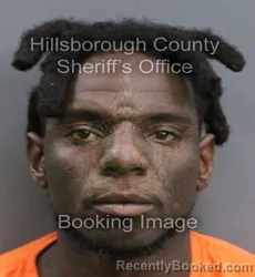Mugshot of JORDAN DESHON JACKSON booked in Hillsborough County, Florida on May 25, 2026
