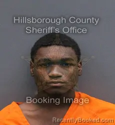Mugshot of SANARIO ZACKARIAH HAYES booked in Hillsborough County, Florida on May 25, 2026