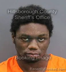 Mugshot of SIDNEY ARTHUR IV HAYES booked in Hillsborough County, Florida on May 25, 2026