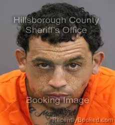 Mugshot of JEFFREY TORRES RIVERA booked in Hillsborough County, Florida on May 25, 2026