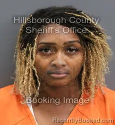 Mugshot of WILENA GABRIELLE LITTLE booked in Hillsborough County, Florida on May 25, 2026