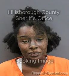 Mugshot of VALERIE RICKITA TIMMONS booked in Hillsborough County, Florida on May 25, 2026