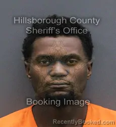 Mugshot of DANIEL DARNELL JR COLLINS booked in Hillsborough County, Florida on May 25, 2026
